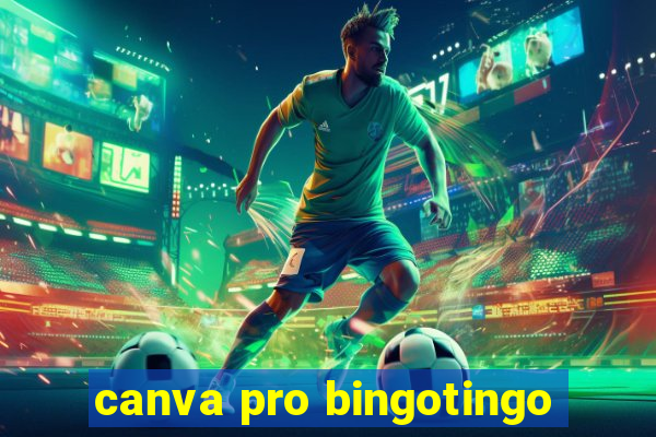 canva pro bingotingo